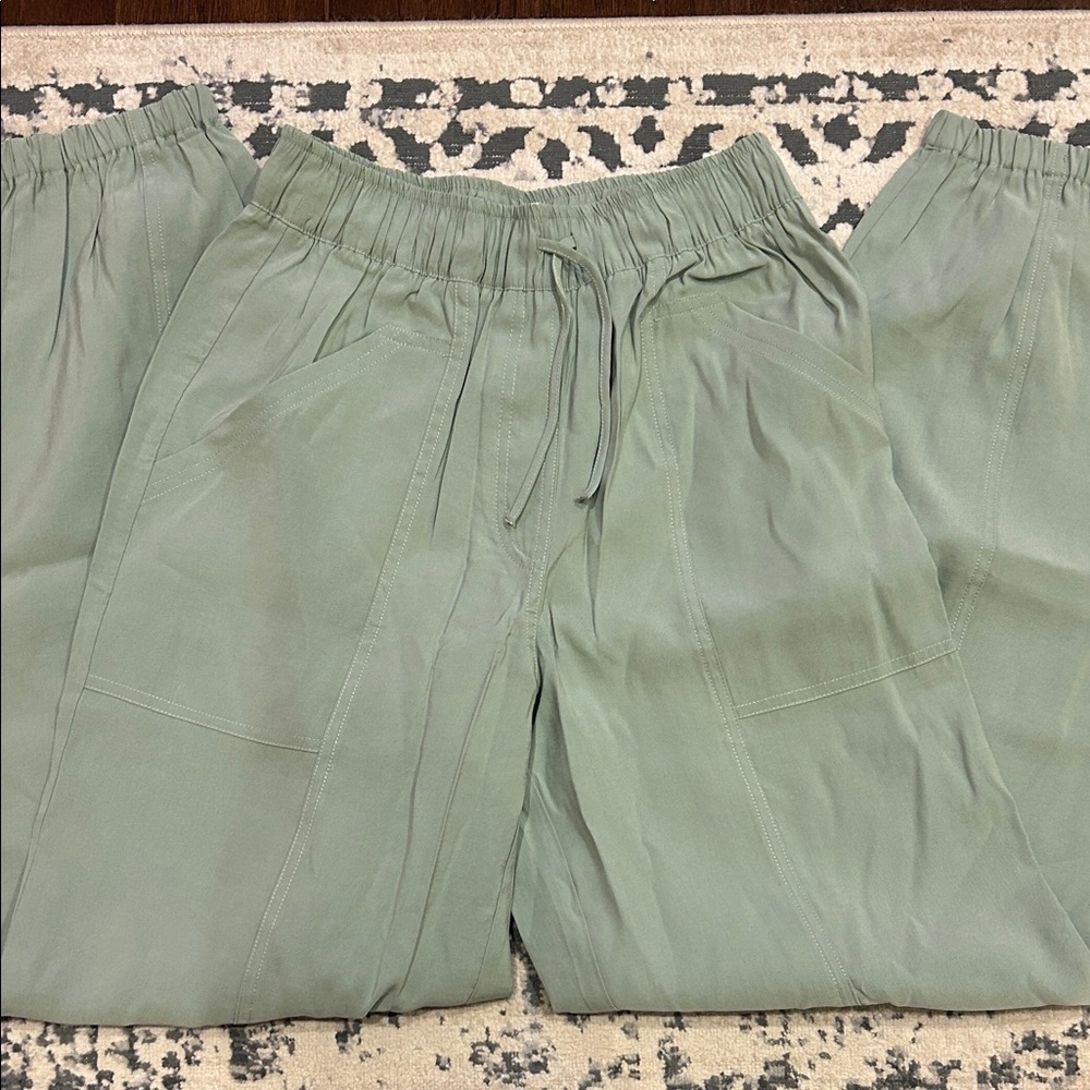 NWT Abercrombie and Fitch Sage Green Joggers - Picture 6 of 9